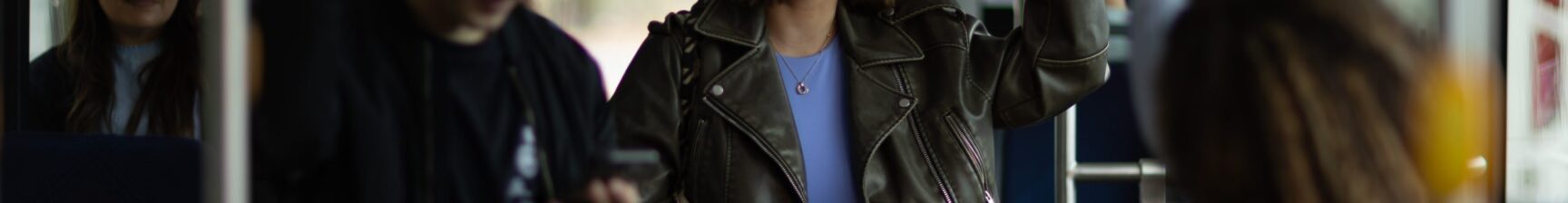 Passenger on the bus