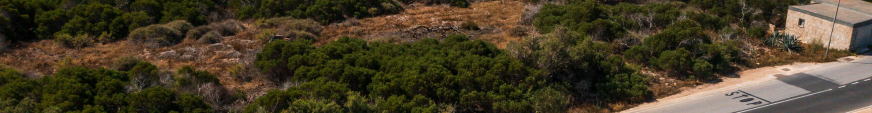 Mellieħa Shuttle Service